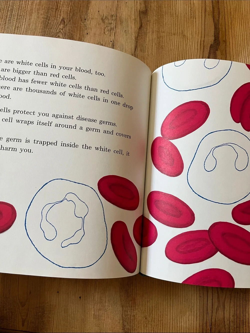 Vintage 1967 HC Book 